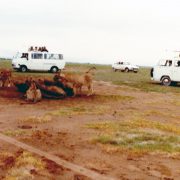 1980 Safari 1